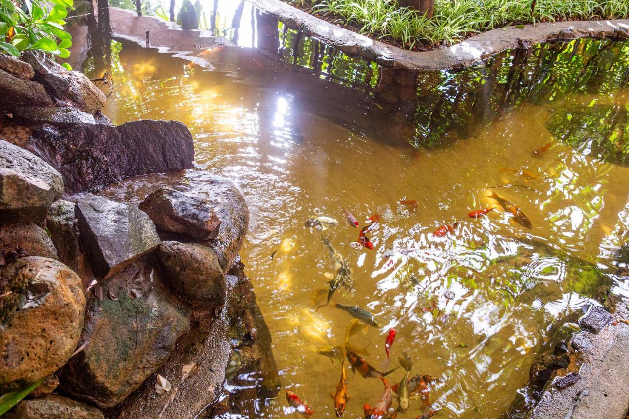 Hotel Alemao Beach De Ilhabela Zewnętrze zdjęcie